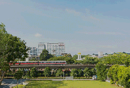 Bid Price of Margaret Drive Condo site exceeds market expextation